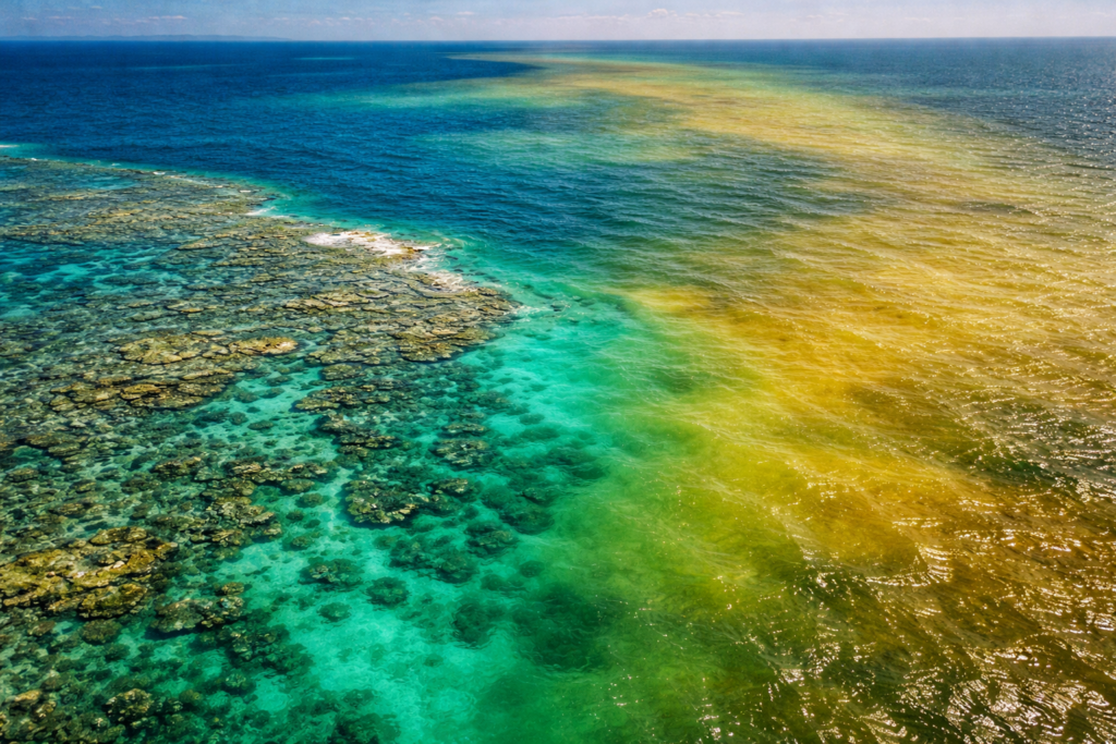 Lautan yang Berubah Warna: Pemanasan Global Jadi Alarm Alam