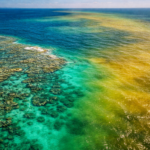 Lautan yang Berubah Warna: Pemanasan Global Jadi Alarm Alam